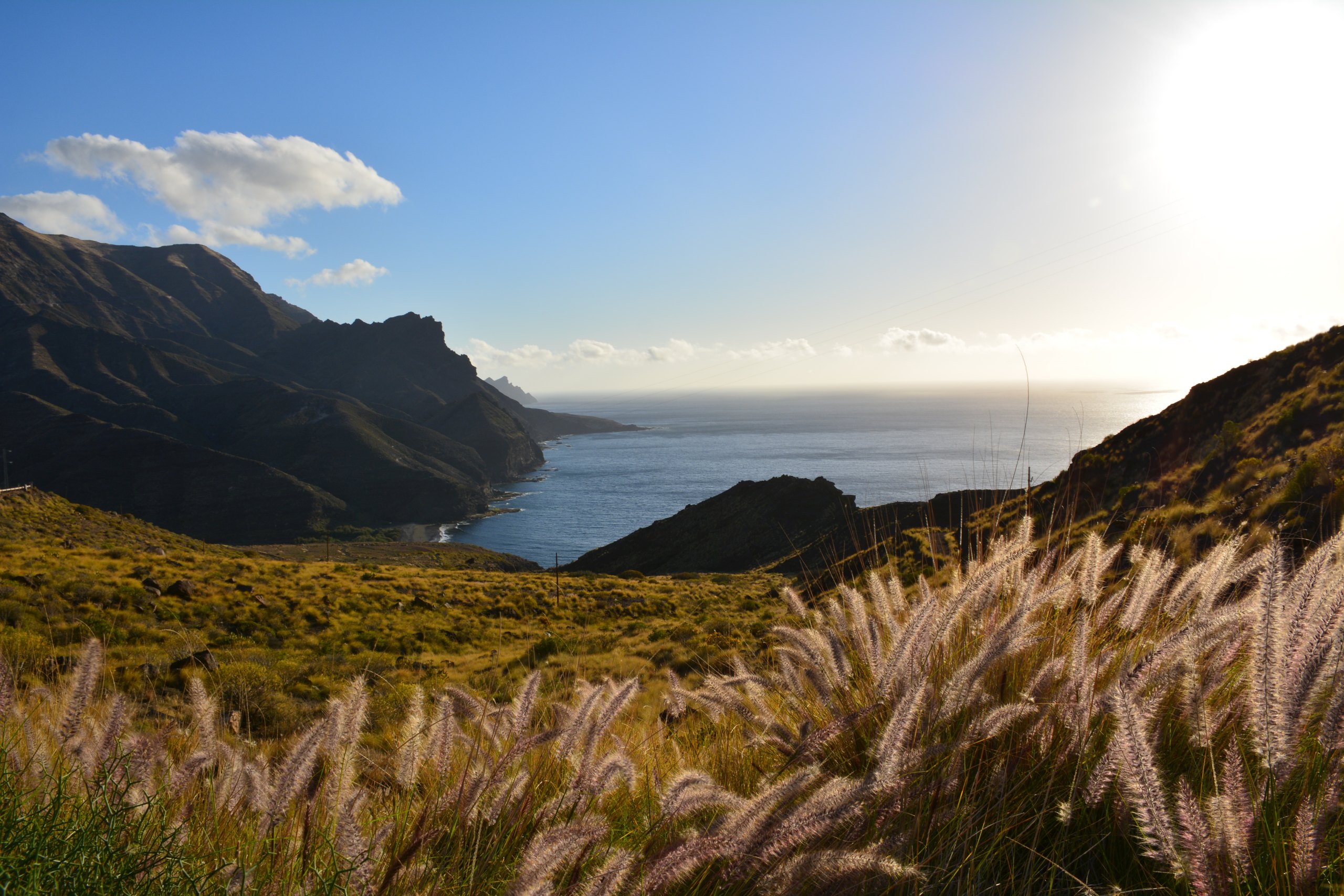 mindset, Sigmund Freud, önismeret, pozitív gondolkodás